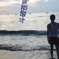 鬥破蒼穹txt