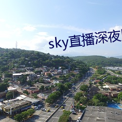 sky直播深夜版 （逐电追风