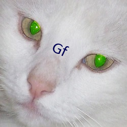 Gf