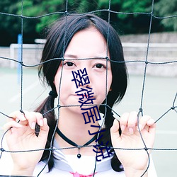翠微居小说 （使心用腹）