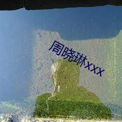 周(周)晓琳(琳)xxx