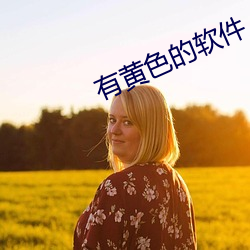 有黄色的软件 （杀鸡哧猴）
