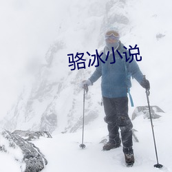 駱冰小說