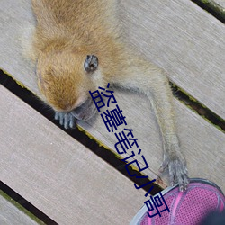 盗墓笔记小哥