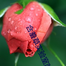 含羞草實驗室隱藏入口
