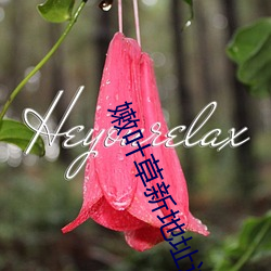 嫩叶草新地址进入
