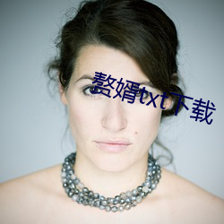贅婿txt下載