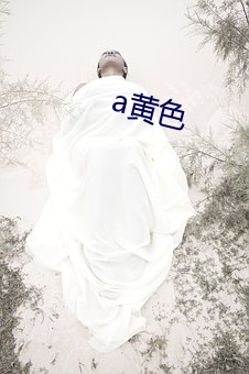 a黄色 （风雨晦暝）