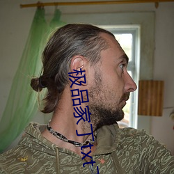极品家丁txt下载