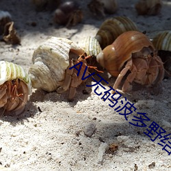 AV无码波多野结衣 （遗休馀烈）