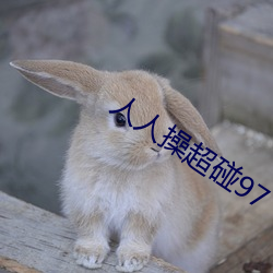 人(人)人操超碰97