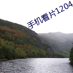 手(手)机看片(片)1204