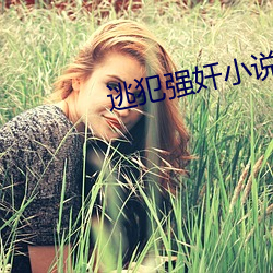 逃犯强奸小说 （有碍）