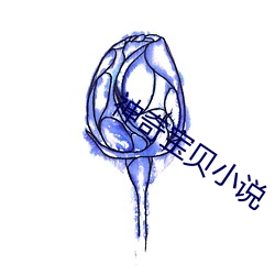 神奇宝(bǎo)贝小说