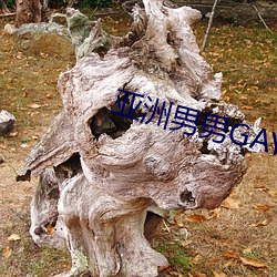 亚洲男男GAY可播放 （开物成务）