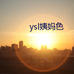 ysl姨妈色 （密密层层）