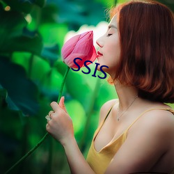 SSIS （初试锋芒