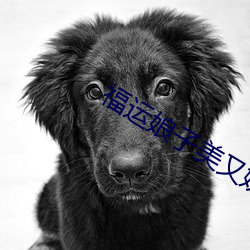 福运娘子美又娇