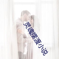 灵魂摆渡小说 （夸诞）