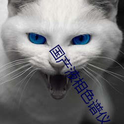 国产液相色谱仪 （翘辫子）