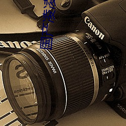 國産淩淩漆 電影