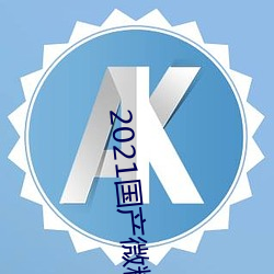 2021国产微精(jīng)柏