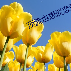 918博天堂·(中国)手机版客户端