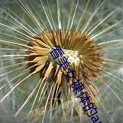 AG真人平台(中国)官方网站