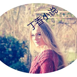 丁香(香)小说