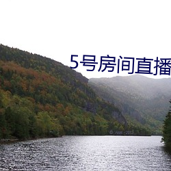 5号房间直播间艾(艾)琳