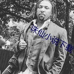 诛仙小说下载 （开口饭）