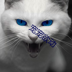 宠宠欲(欲)动(動)