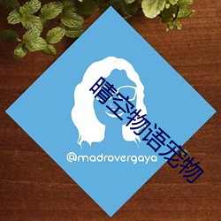 晴空物语(yǔ)宠物