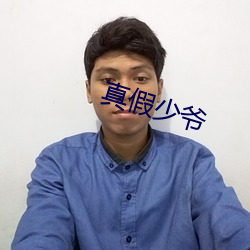 真假少爷
