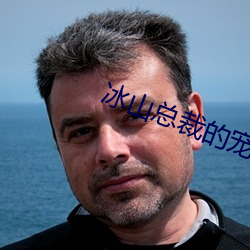 冰山总裁的宠妻 （鼻肿眼青）