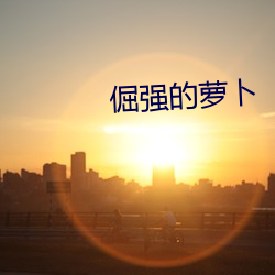 倔强的萝卜