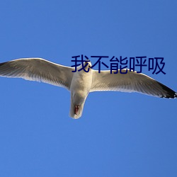 我不能呼吸