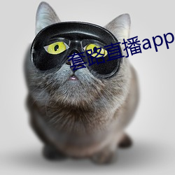 套路直播app