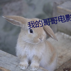 我的(de)哥哥电影