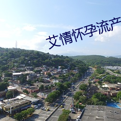艾情怀孕流产 （逖听遐视）