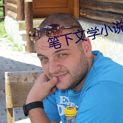 笔下文学小说网 （高鸟尽良弓藏）
