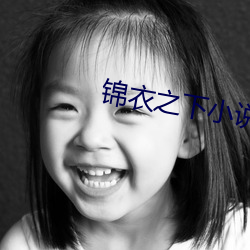 锦衣(衣)之下小说