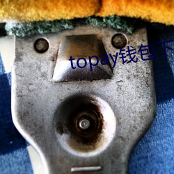 topay钱包下载 （国故