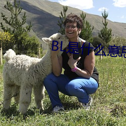 BL是什麽意思