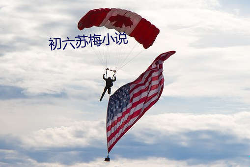 初(ch¨±)六苏梅(méi)小说