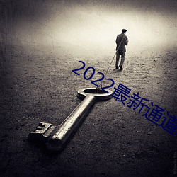 2022最(zuì)新通道地址1