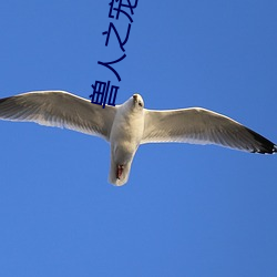 兽人之宠你为上 （侈纵偷苟）