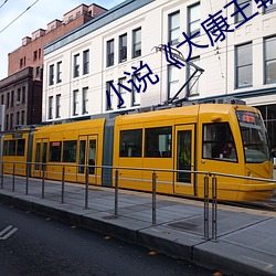 小(小)说(說)¡¶大(大)康王朝(朝)》