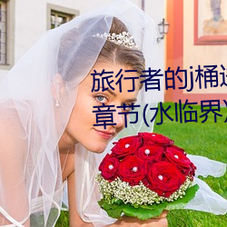 旅行者的j桶进雷电将军的d最新章节(水临界)