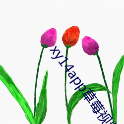 xy14app草莓視頻